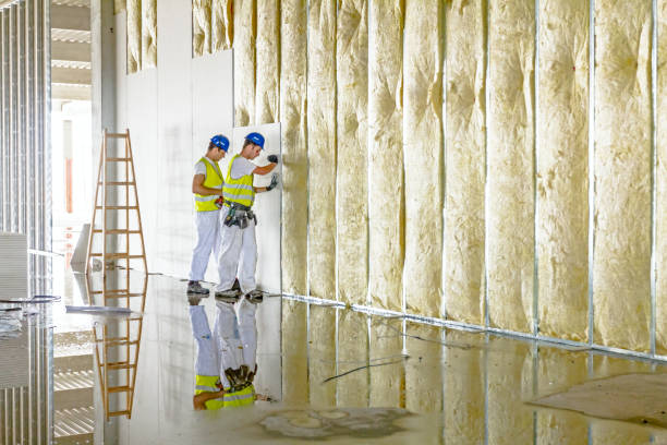 Best Garage Insulation Installation  in South Park, WY
